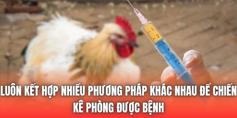 Luôn kết hợp nhiều phương pháp khác nhau để chiến kê phòng được bệnh